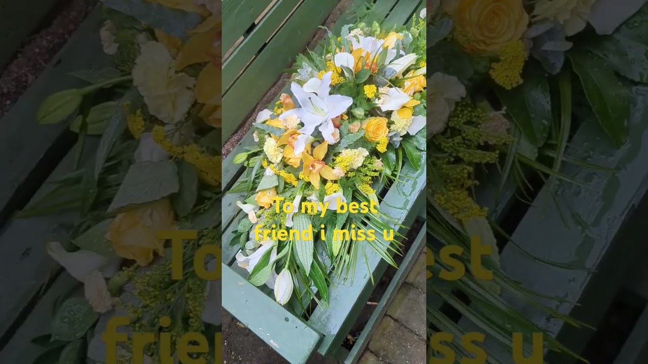 15 June 2024