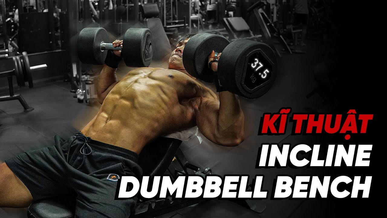 Kỹ thuật INCLINE DUMBBELL BENCH PRESS - Đẩy Ngực Ghế Dốc Với Tạ Đơn | T3KT