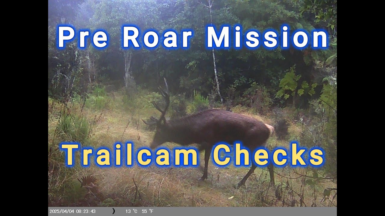 Pre Roar Mission and Trailcam Checks