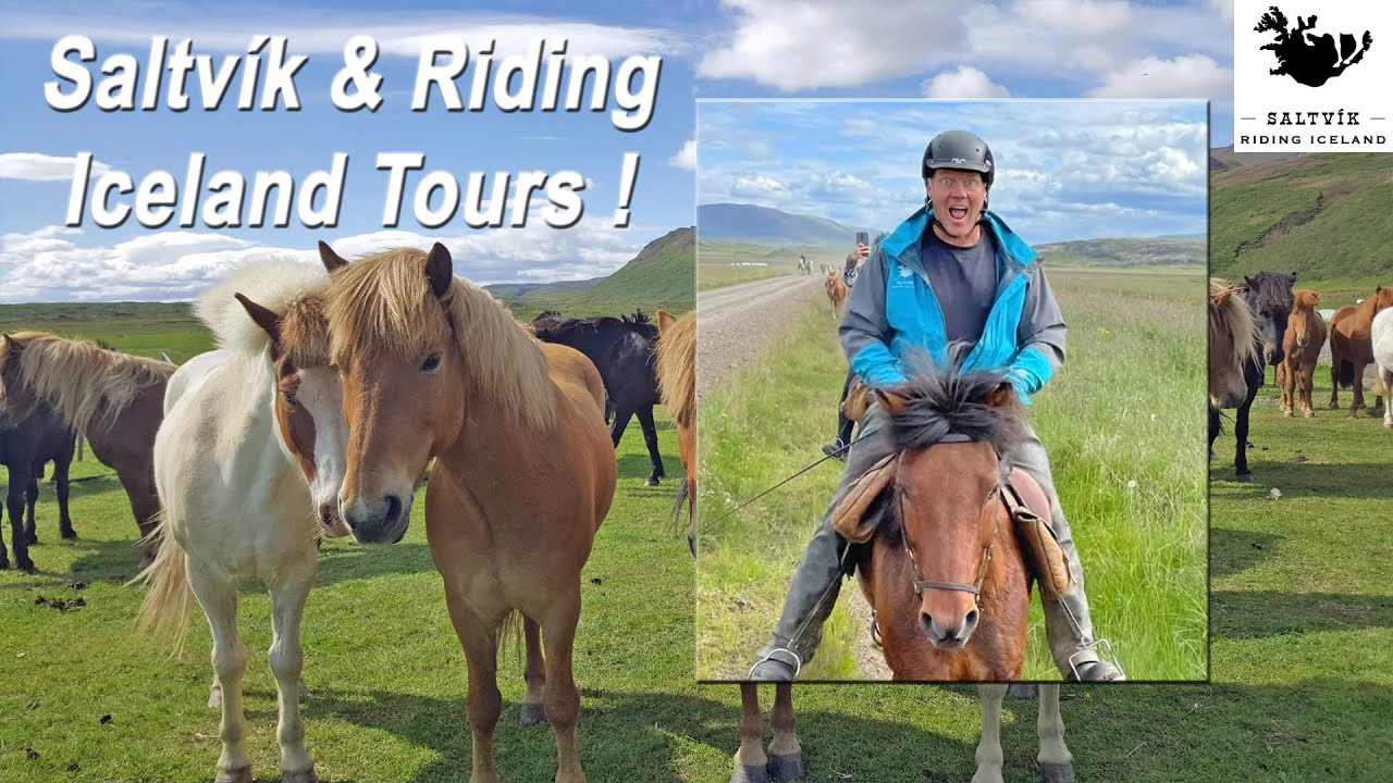 Riding Iceland And Saltvik Riding Tours !