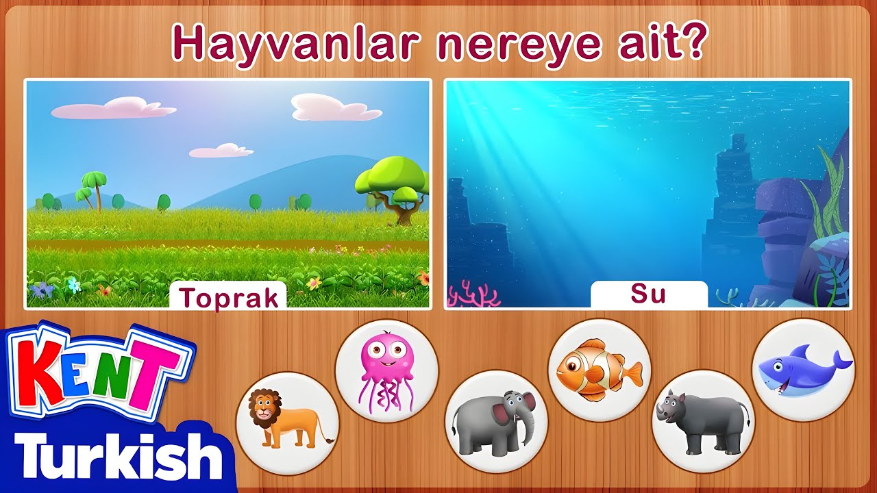 Hayvanlar Nereye Ait? Çocuklar İçin Eğitici Videolar | Kent Turkish