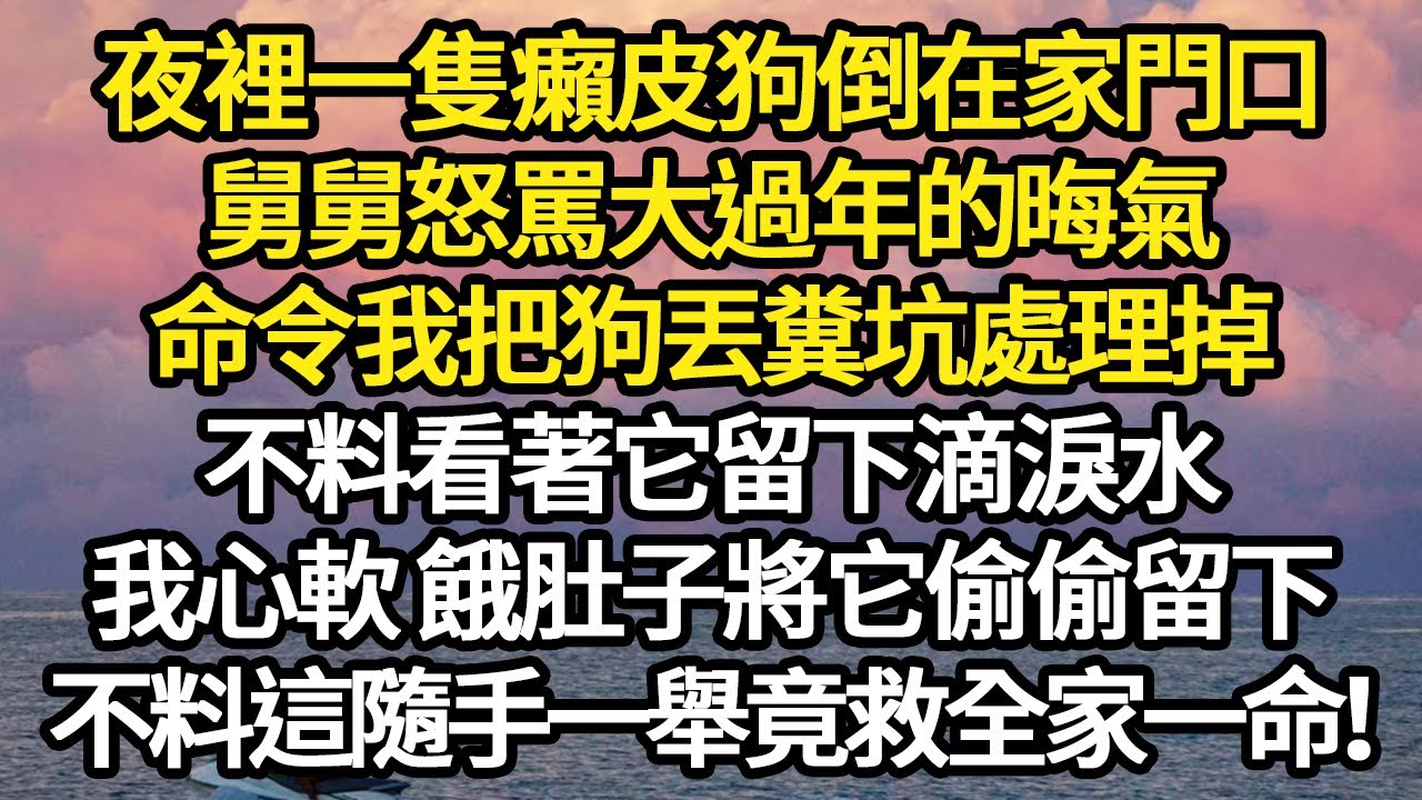 夜裡一隻癩皮狗倒在家門口，舅舅怒罵大過年的晦氣，命令我把狗丟糞坑處理掉，不料看著它留下滴淚水，我心軟 餓肚子將它偷偷留下，不料這隨手一舉竟救全家一命！#故事#悬疑#人性#刑事#人生故事#生活哲學