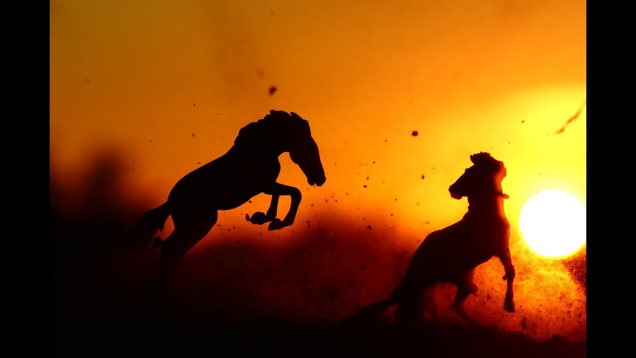 Breyer Model Horse Photography -- March 2018 (Breyerfest 2018)