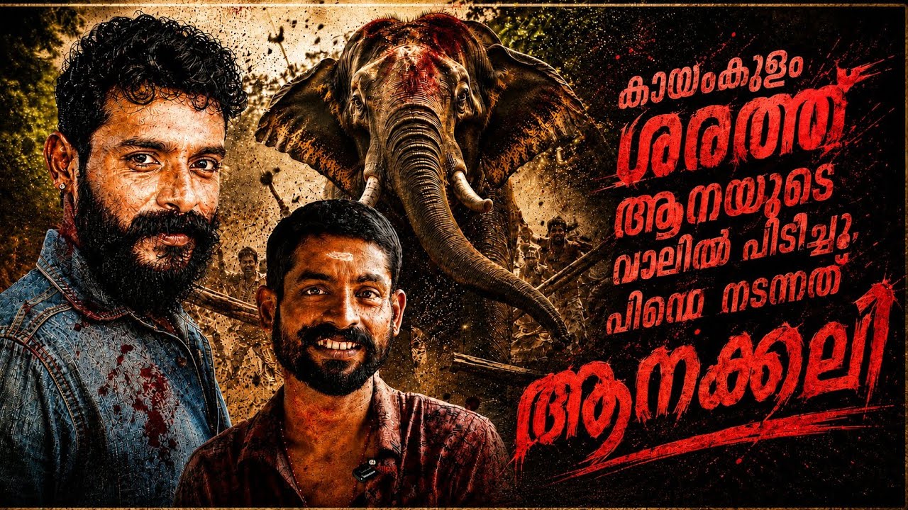 കായംകുളം ശരത്തിന്റെ പിന്നാലെ കൂടി ആന.. തേറ്റ  എന്റെ നെഞ്ചത്ത് /elephant frames/paravoor sharath