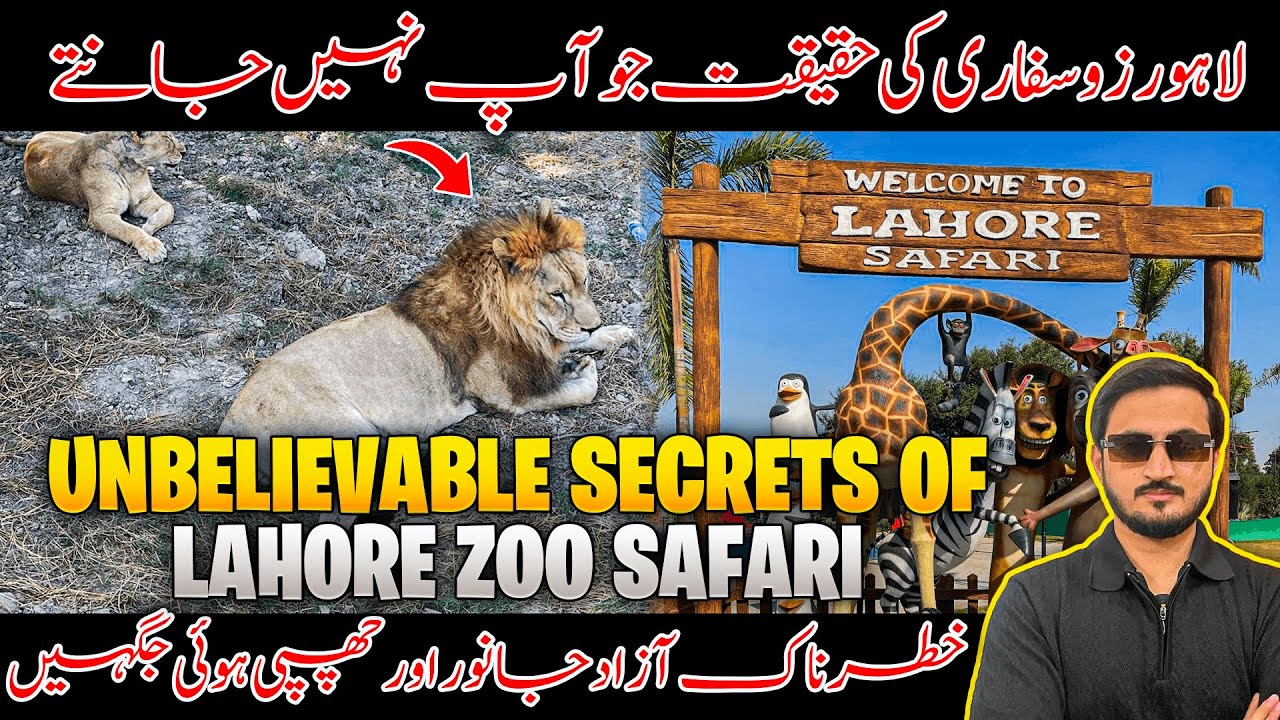 Hidden Wonders of Lahore Zoo Safari Park | Lahore Safari Park | Top Place to Visit in Pakistan