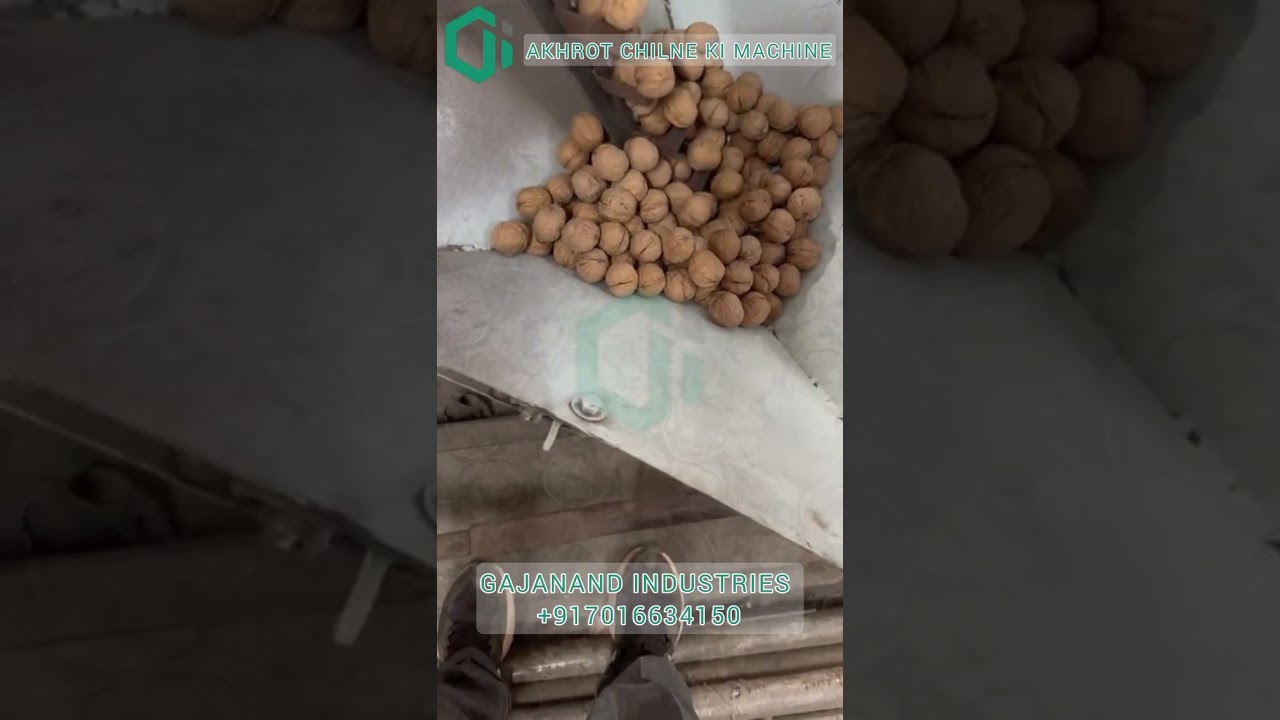 Walnut cracker machine ~ akhrot todne ki machine | gajanand industries #walnut#akhrot