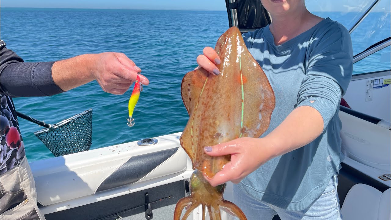 Happy Fisherman   EP78 Big squid goning crazy at St leonards