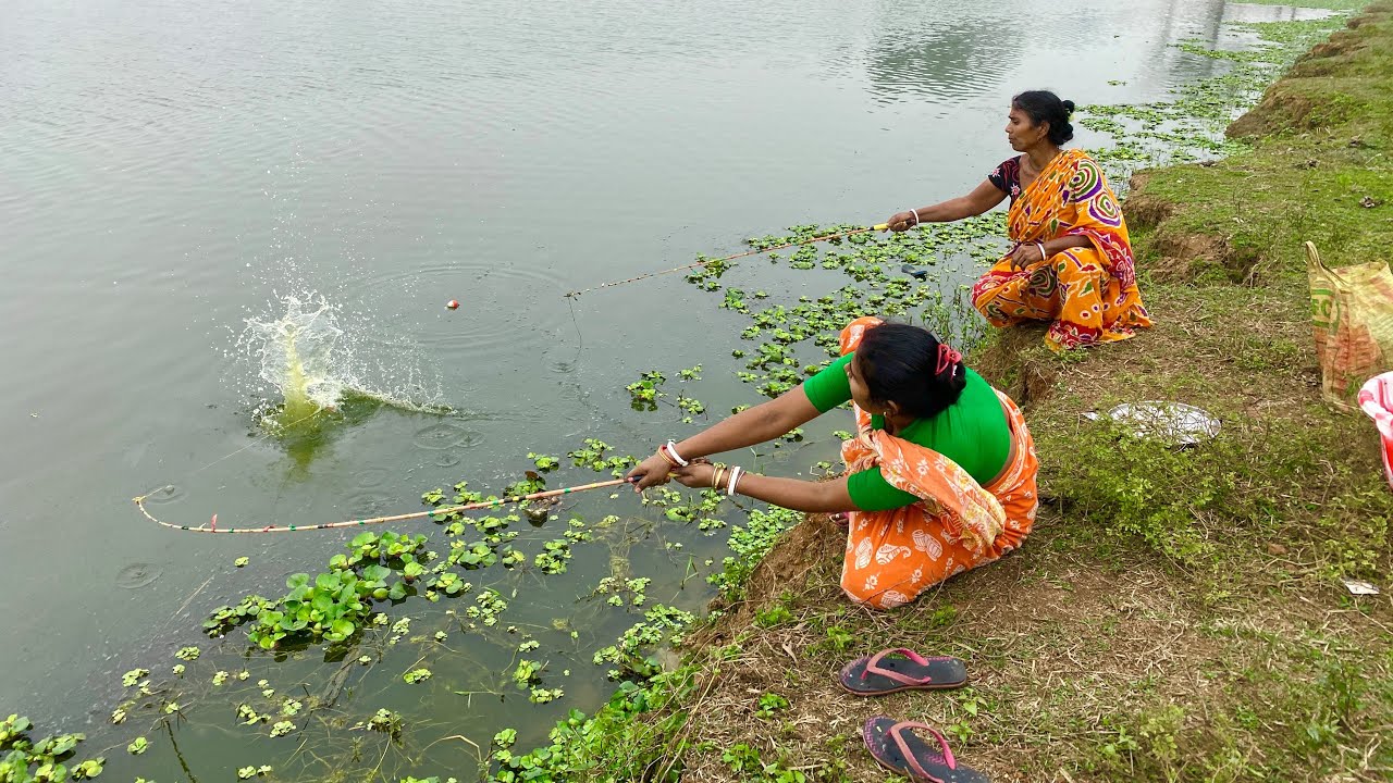 Fishing Video🐬🐬|Traditional woman fishing in the village pond | fish catching video.Fishing By Hook