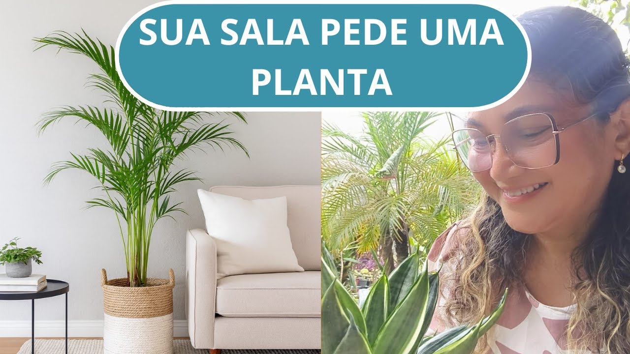 Decoração com plantas: como transformar cantos vazios da sala