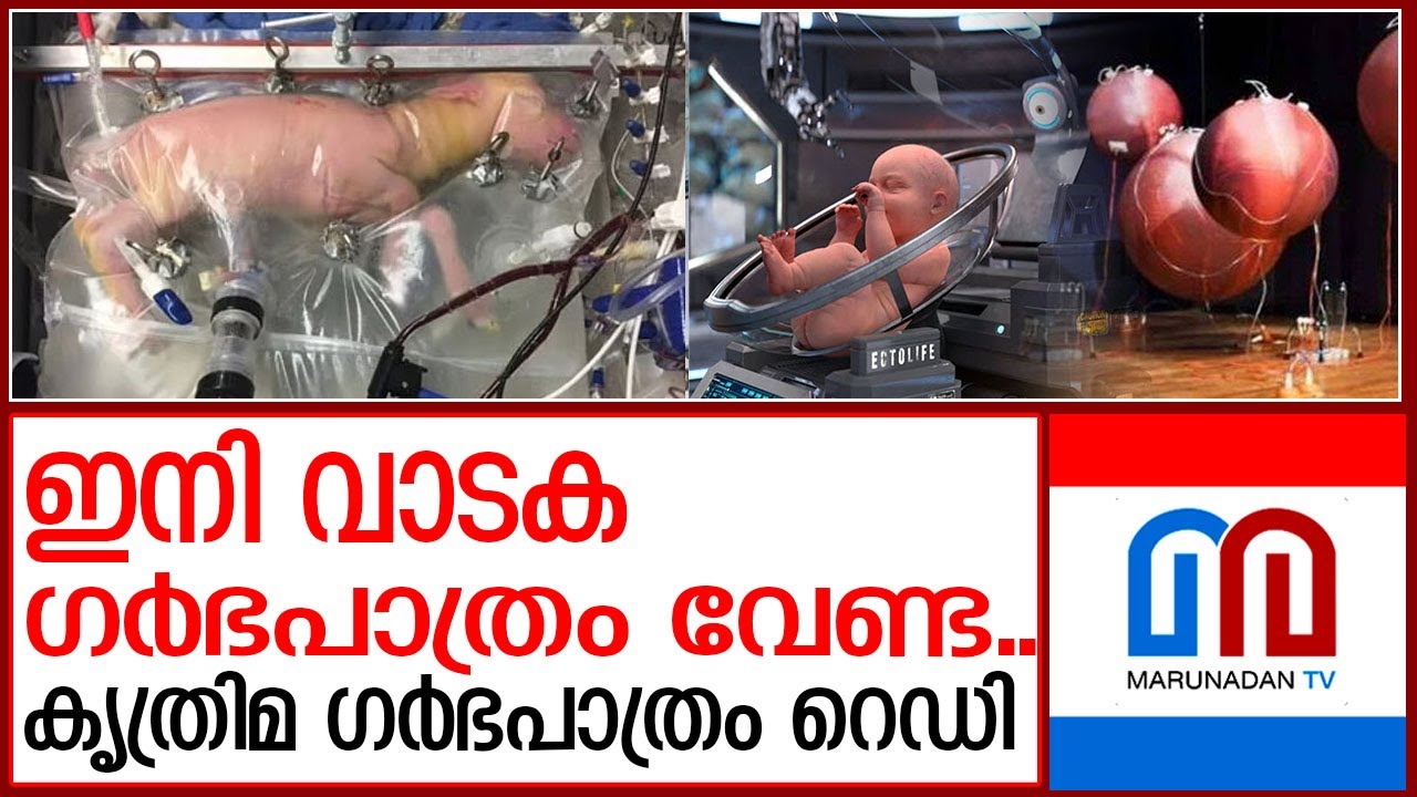 വാടക ഗര്&zwj;ഭ പാത്രത്തിന് പകരം ഇനി കൃത്രിമ ഗര്&zwj;ഭപാത്രം വരുന്നു | Artificial uterus human trials 2024