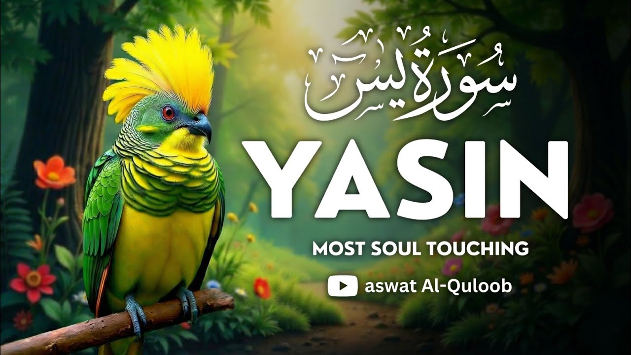 Surah Yaseen | Daily Recitation for Spiritual Healing & Tranquility | Heart Touching Quran Tilawat
