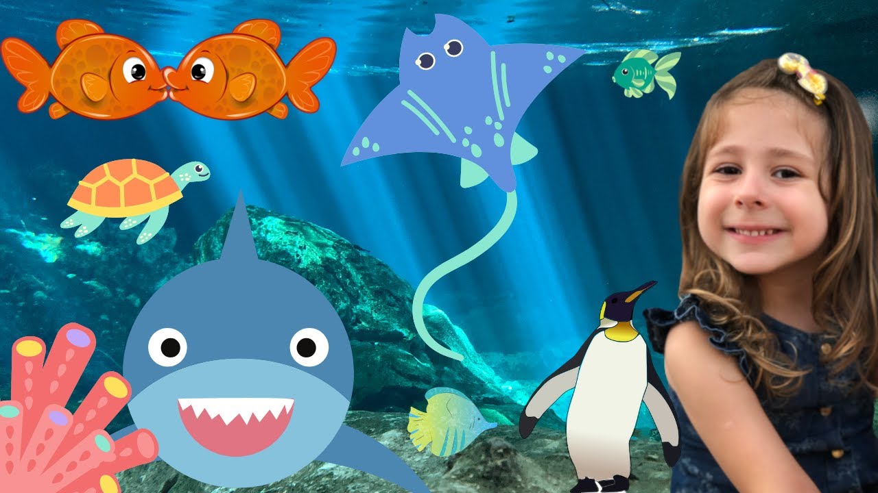 Julinha foi no aquario pela primeira vez | tubar&atilde;o peixes raia&hellip;