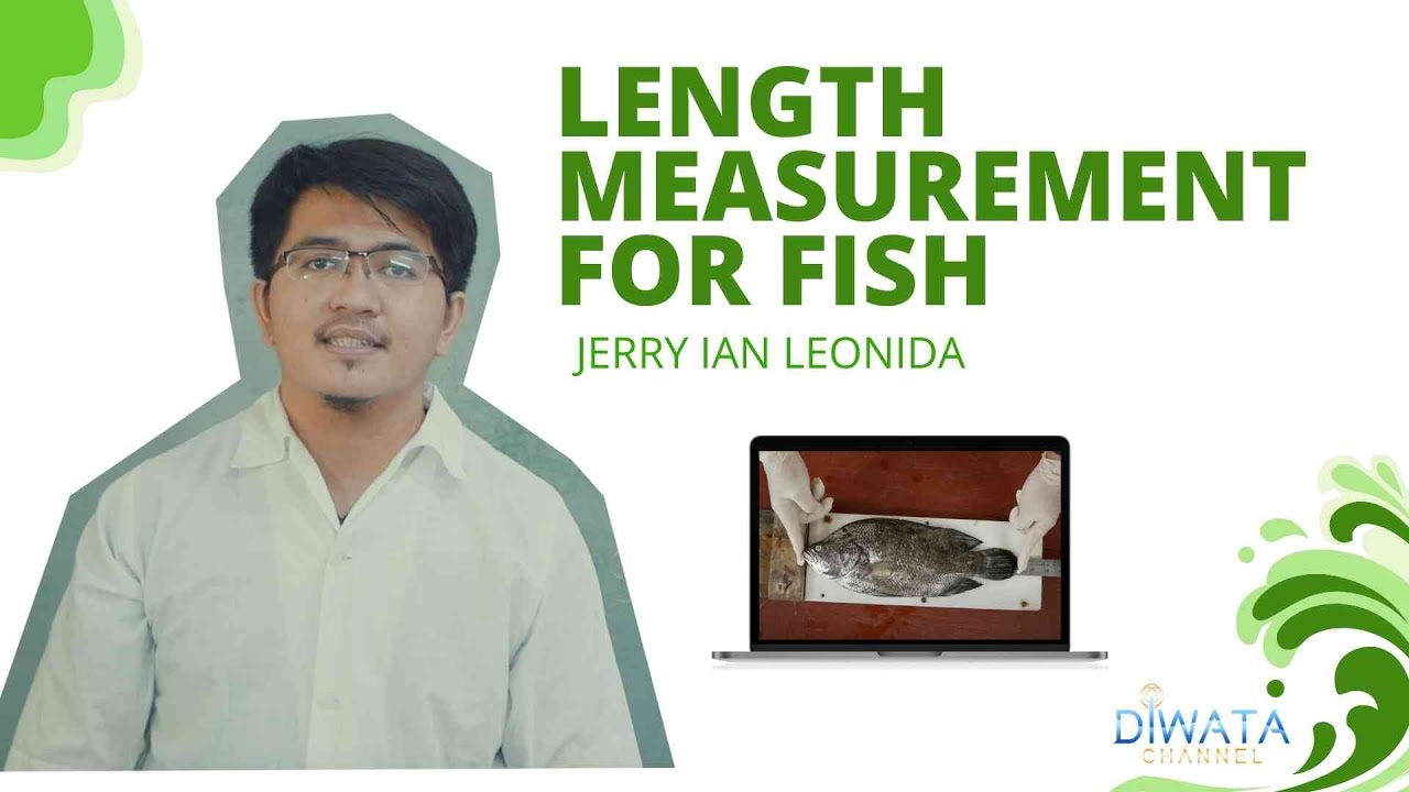 LENGTH MEASUREMENT FOR FISH
