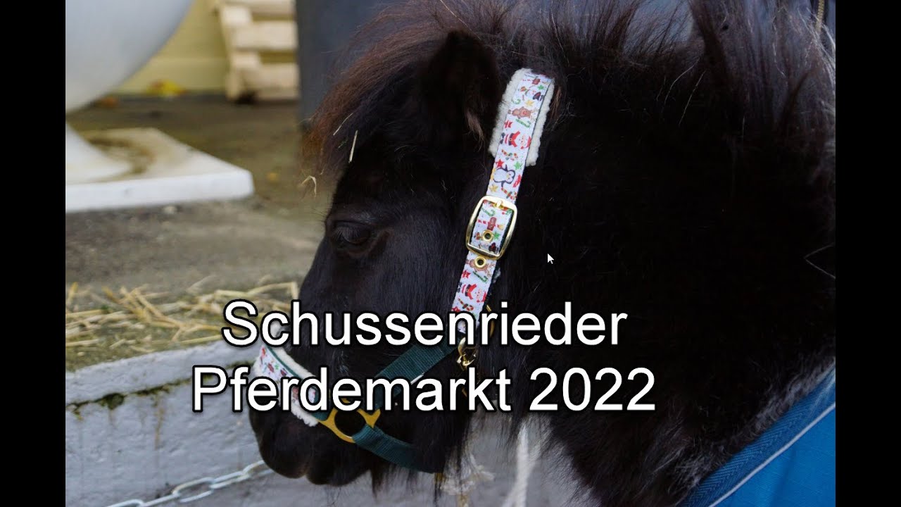Schussenrieder Pferdemarkt , 26.11.2022, 1 Teil.