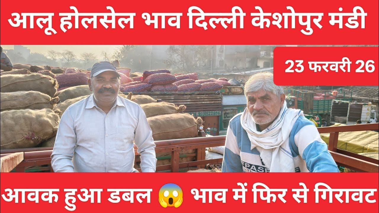 23 फरवरी 26 आलू होलसेल भाव दिल्ली केशोपुर मंडी #potato #aalu 