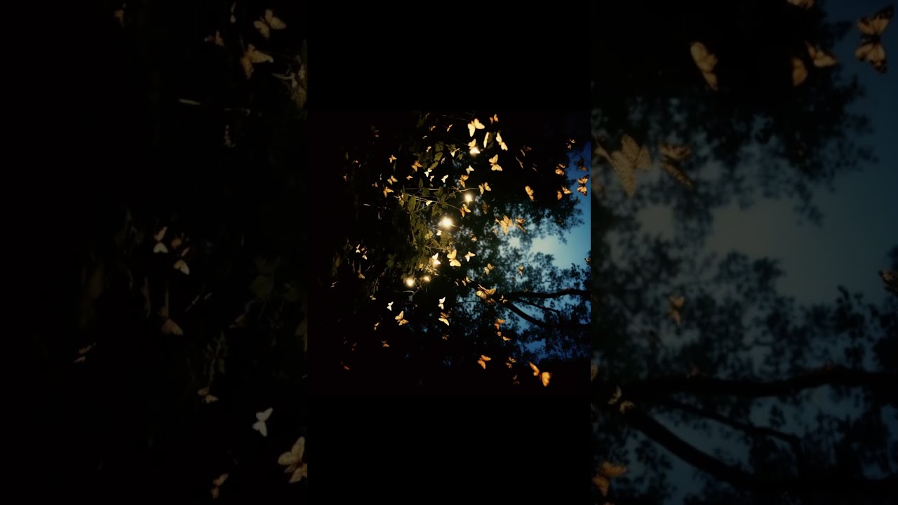 *FREE* Nick Mira Type Beat 'Darklight' #juicewrldtypebeat #nickmiratypebeat  #trapbeat #beats