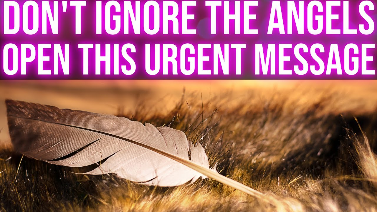 The Angels Have A Message For You 🙏 | Angel Message For Me