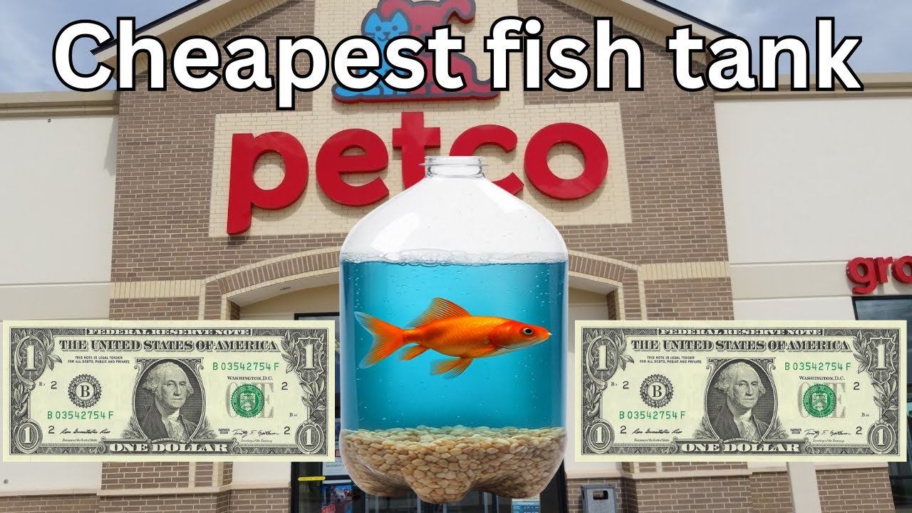 Everything from the Pet Store &ndash; Cheapest Fish Tank Challenge!