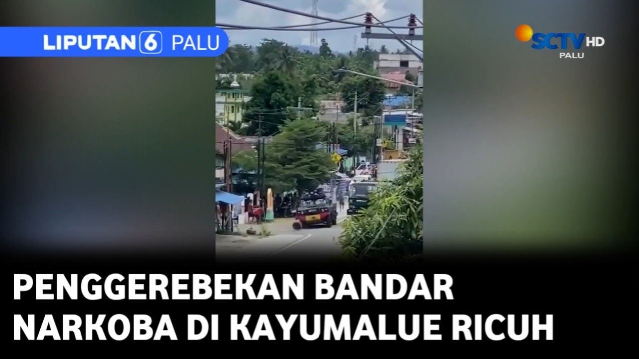 Berita Palu 29 Oktober 2025  segmen 2
