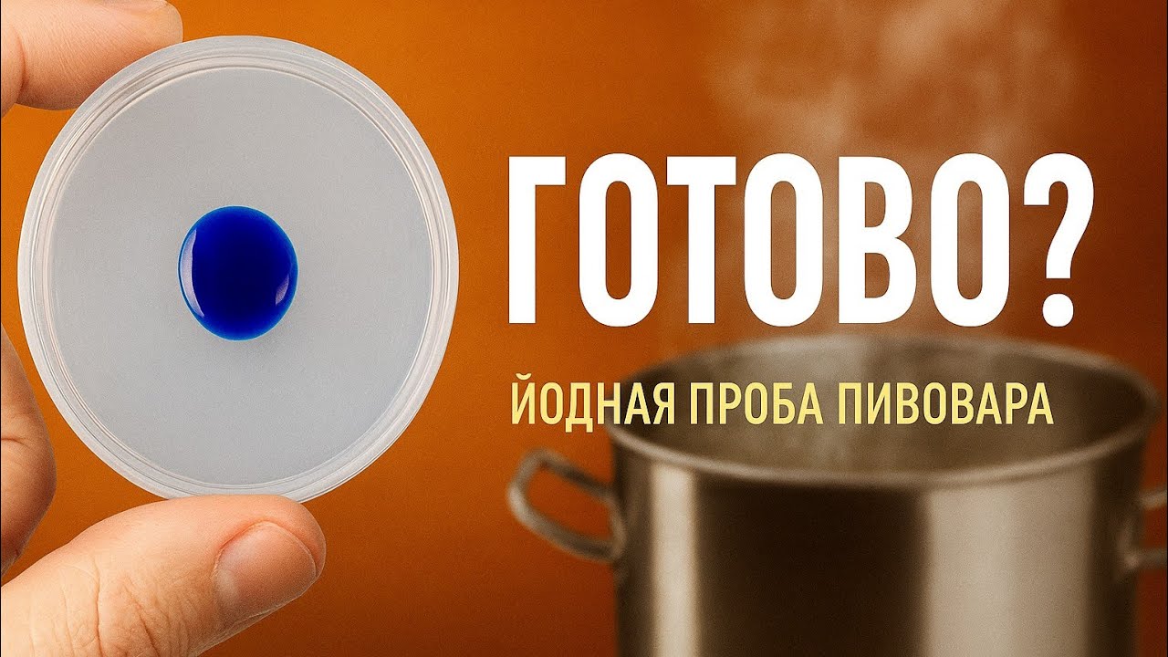 КАК ПРОВЕРИТЬ СУСЛО? ЙОДНАЯ ПРОБА за 2 минуты🧪