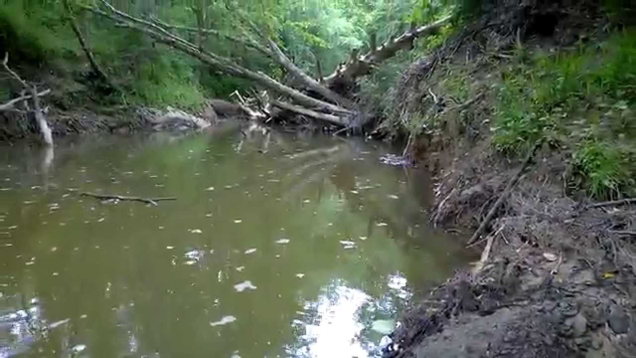 Arrowhead Hunting:Creek Digging and Sifting