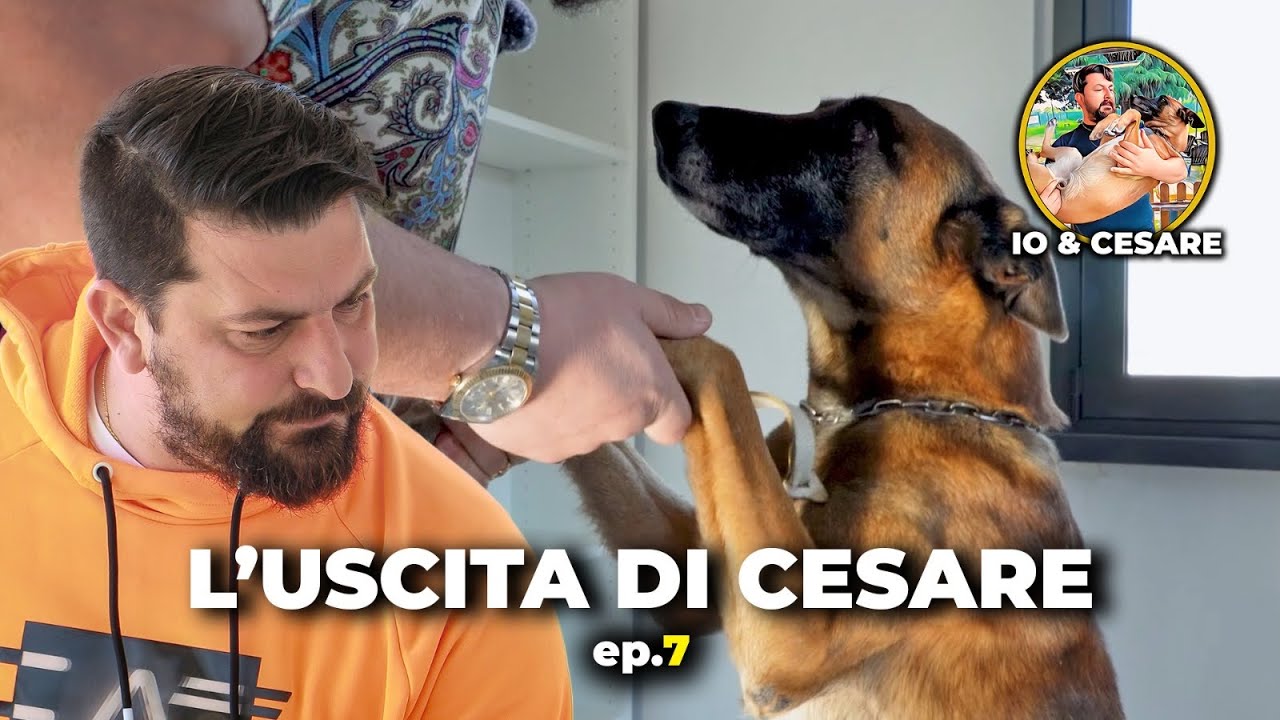 L' uscita di Cesare | IO & CESARE_S1 | E7