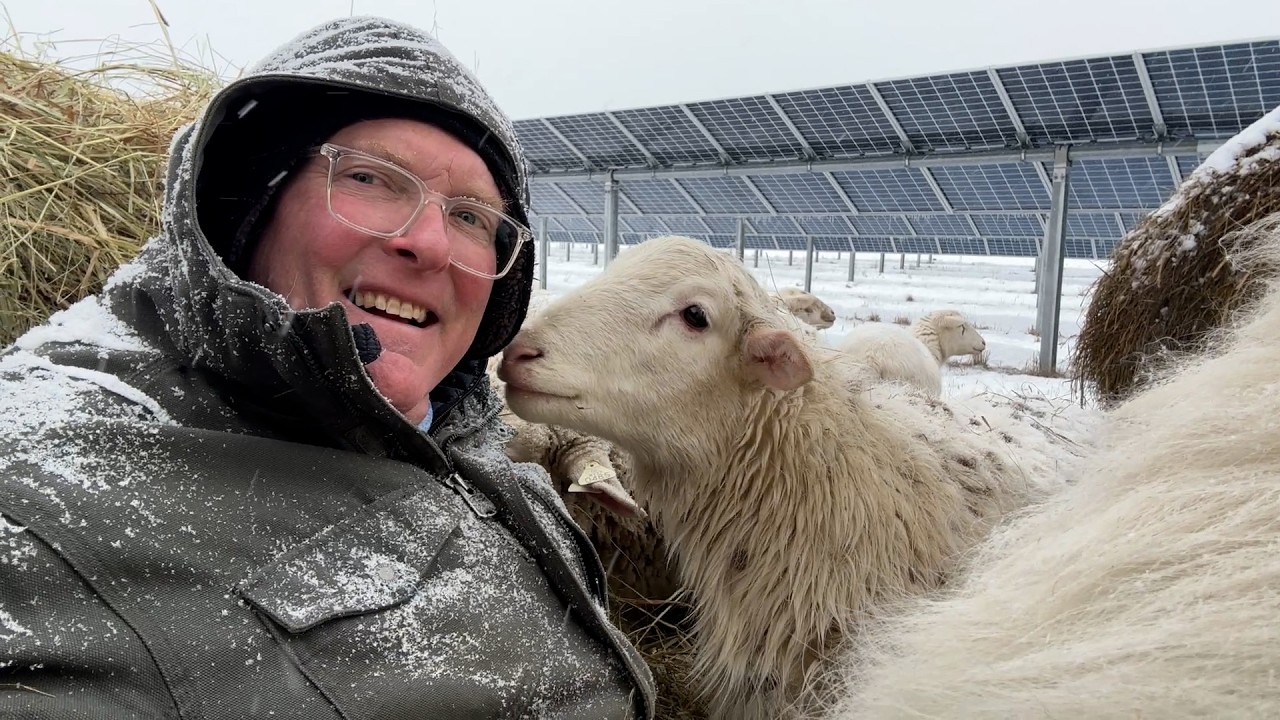 WINTER FARMING UNDER SOLAR PANELS: When Boring Is BLISS!