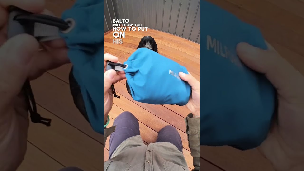 Milford Raincoat - Raincoat for dogs