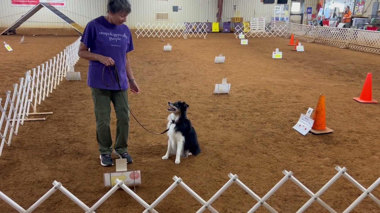 Holly Rally Novice Course #1