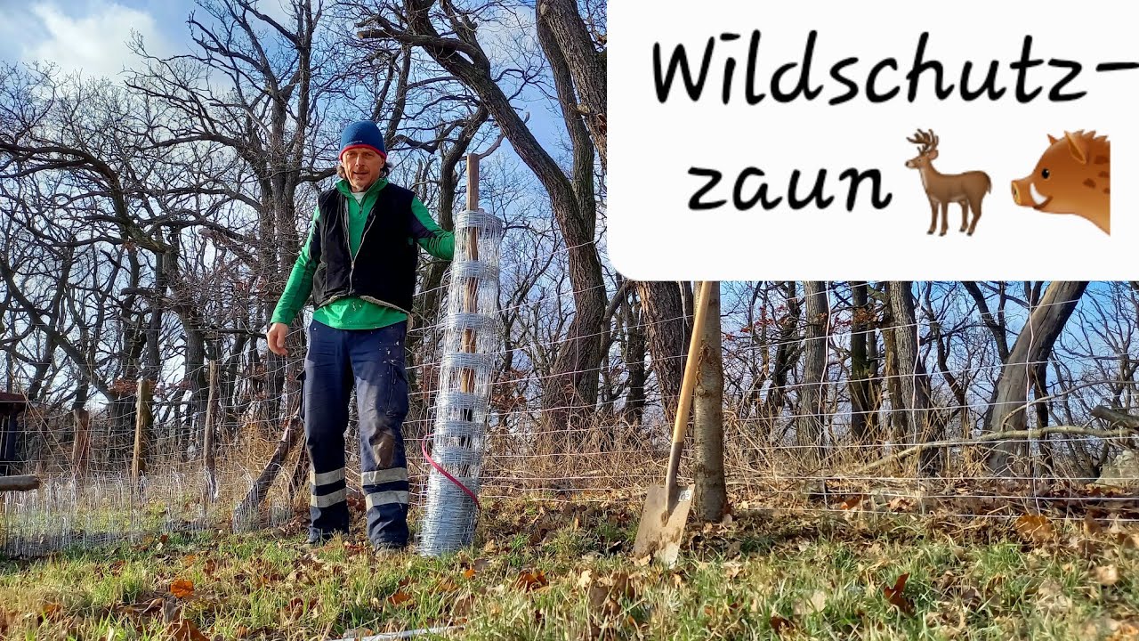 🦌 Wildschutzzaum selber bauen 🪚🪓 Schutz vor Wildverbiss durch Rotwild; Aufforstung Erstaufforstung