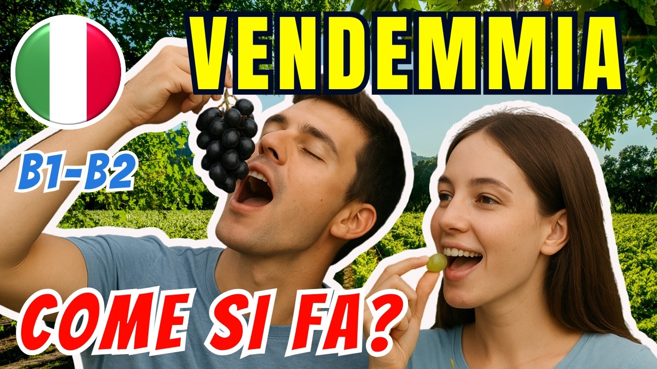 Vendemmia in Italia: tradizione, stagioni e vini tipici