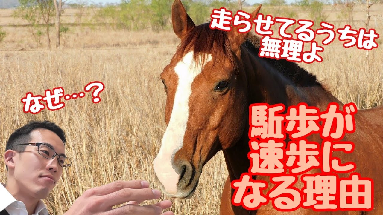 駈歩が速歩になる理由と、馬の姿勢の起こし方