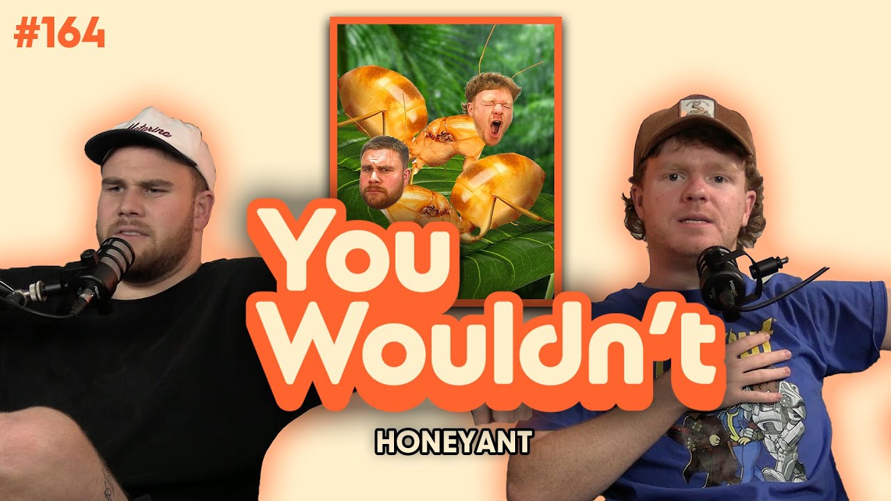 EP 164 - Honeyant