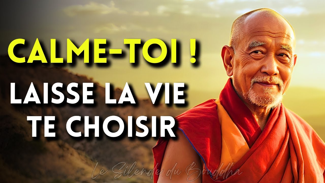 Calme-toi ! 7 clés bouddhistes pour une paix intérieure durable