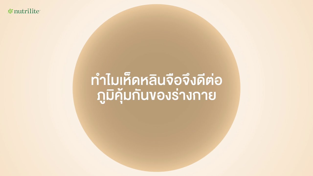 ทำไมเห็ดหลินจือจึงดีต่อภูมิคุ้มกันของร่างกาย