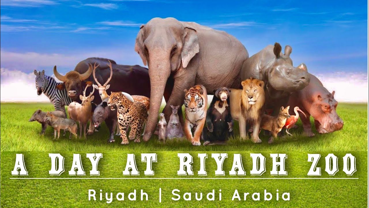 Riyadh Zoo 2022 🇸🇦|Biggest Zoo in Ksa| Al Malaz| A day tour in Riyadh Zoo| Musafir Wave |Zoo park