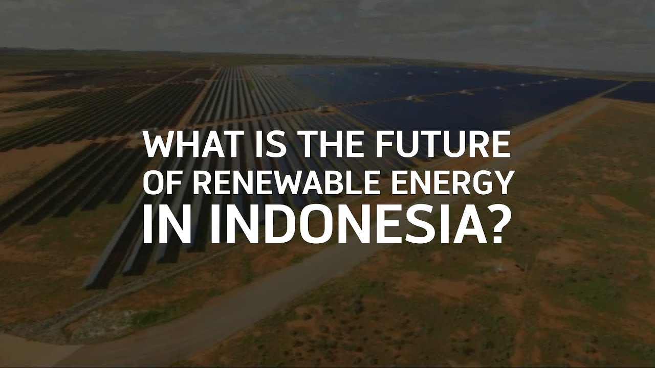 What is the future of renewable energy in Indonesia?