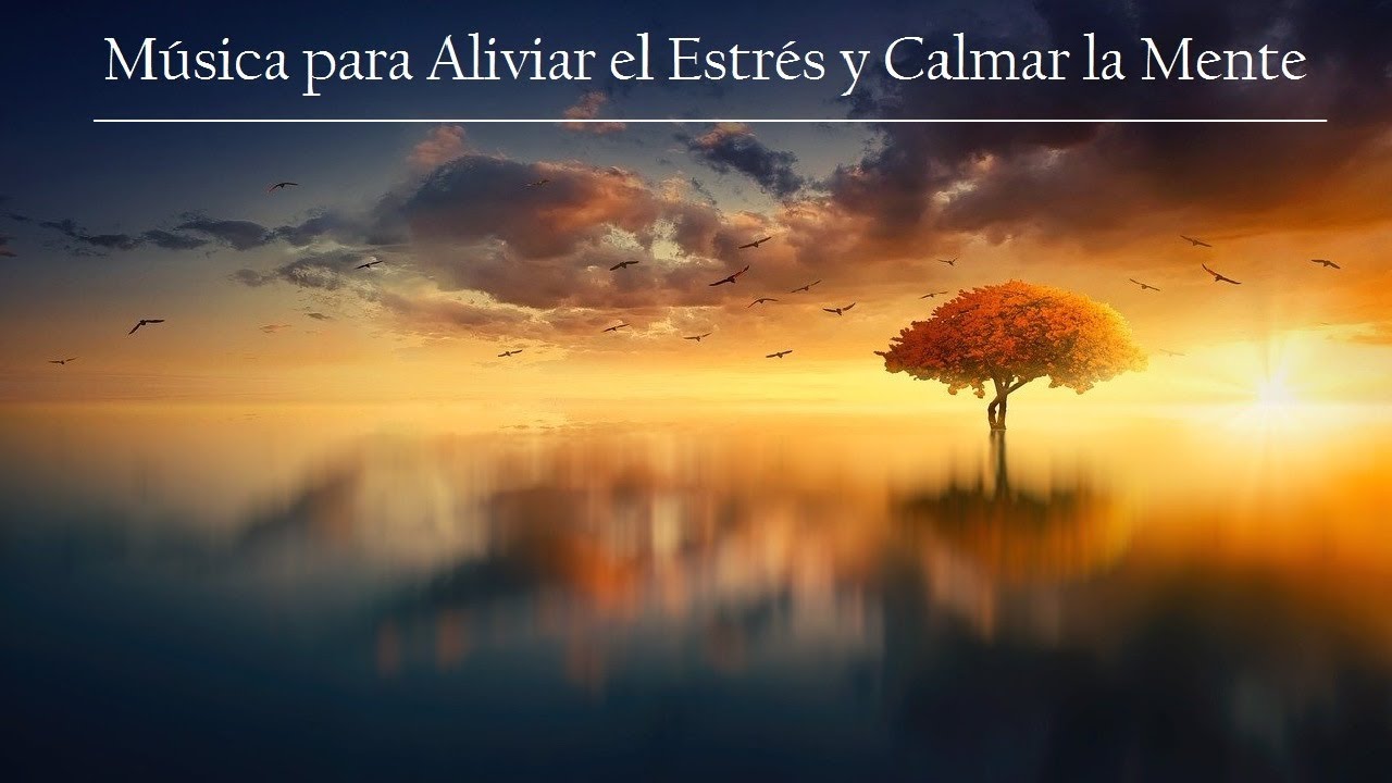 Maravillosa M&uacute;sica Curativa para Aliviar Ansiedad, Depresi&oacute;n, Insomnio y Dolor Causado por Estr&eacute;s