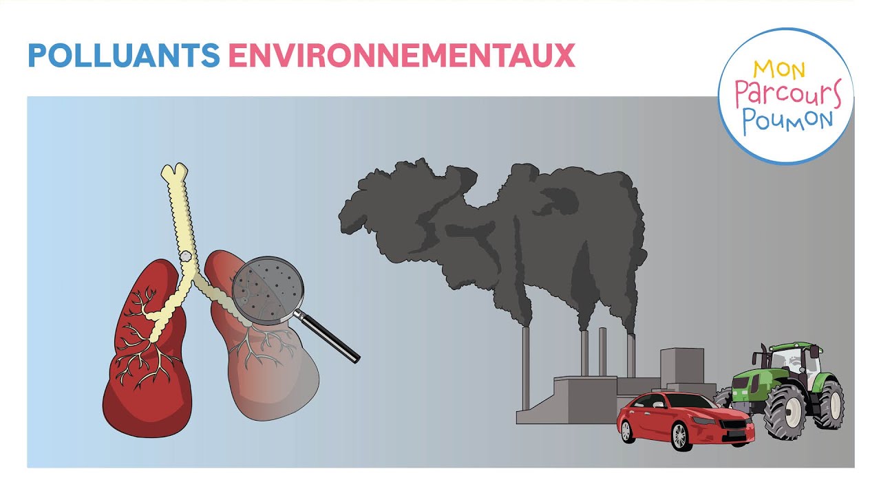 12 - Mon Parcours Poumon : Cancer et pollution