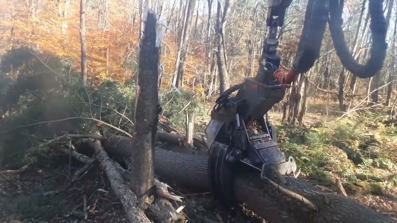 it slices ,it dices ,it makes mountains of fries !!! order yours before midnight tonight!!!!