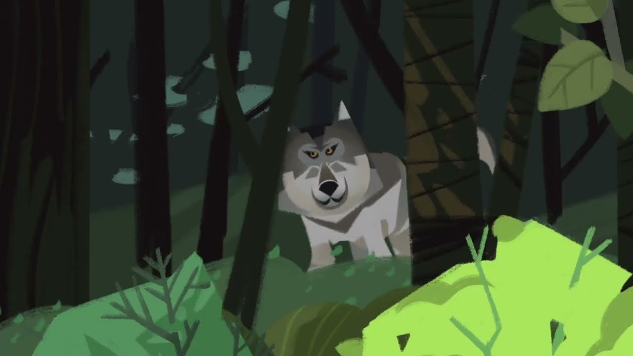 Coexistence with Large Carnivores