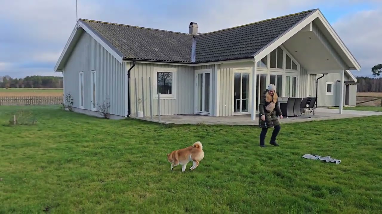 Lisko Shiba