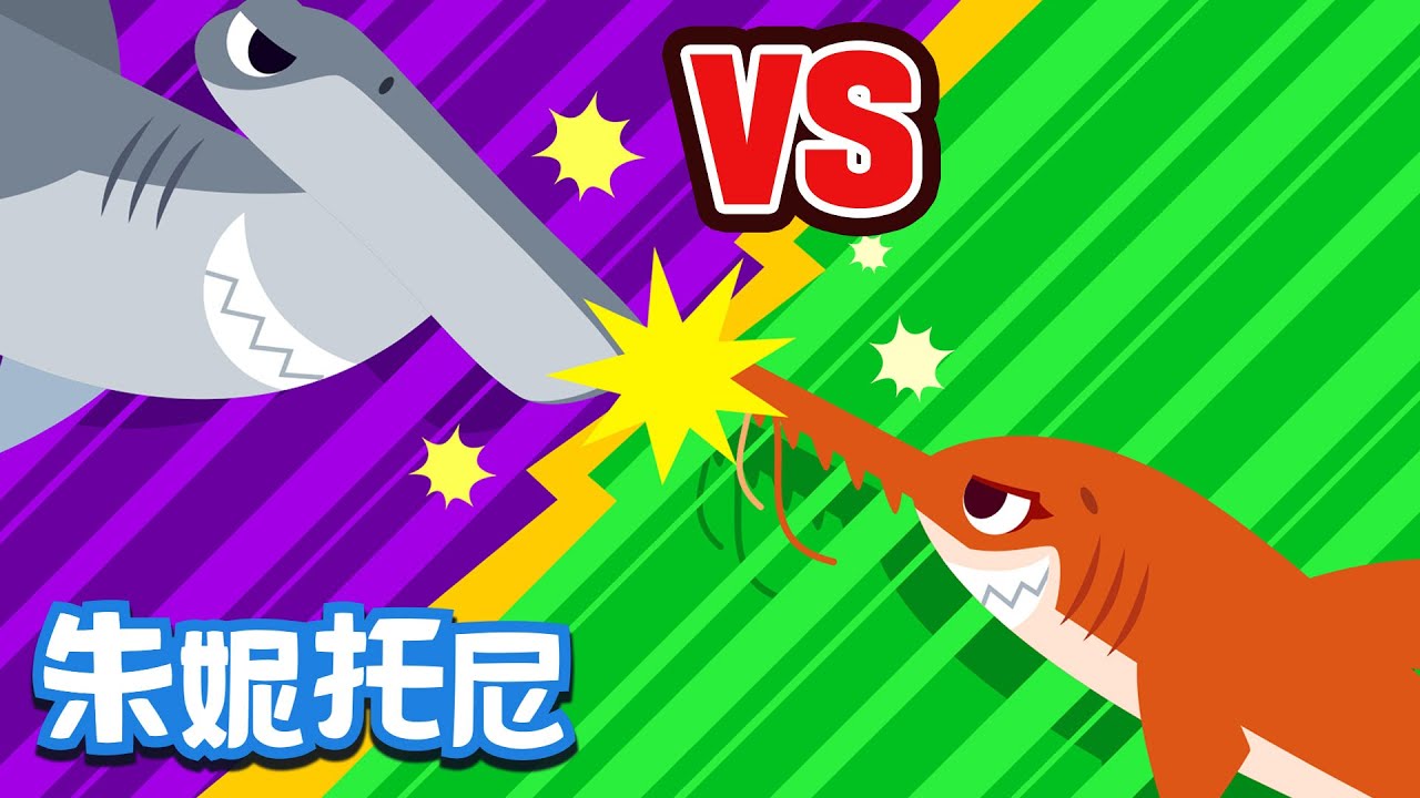 鋸鯊VS錘頭鯊 | 動物對戰兒歌 | 朱妮托尼兒歌 | 鋸鯊對戰錘頭鯊，到底誰能抓到更多的魚呢？| Kids Song in Chinese | 兒歌童謠 | 卡通動畫 | 朱妮托尼童話音樂劇