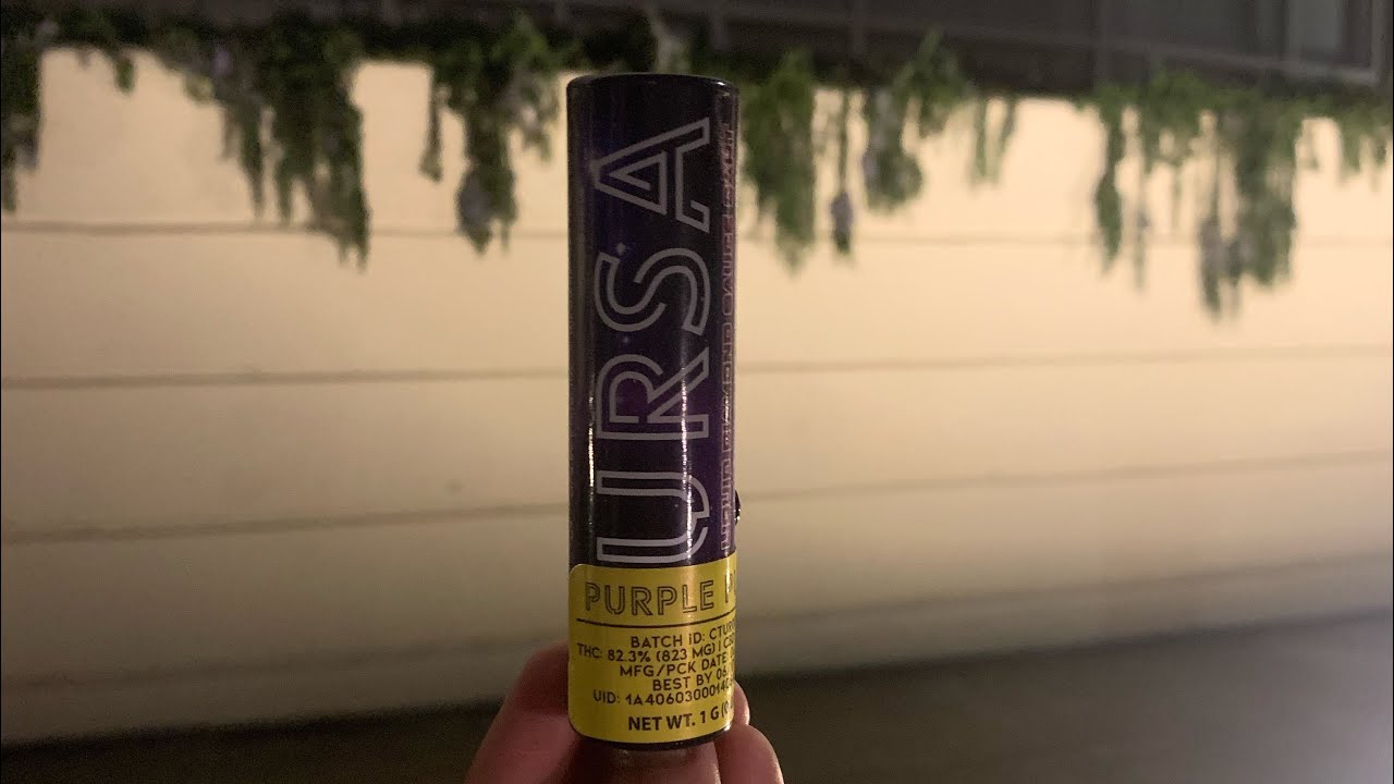 Purple Punch Live Resin Cartridge Review (URSA Extracts)