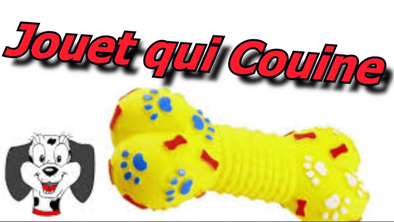 Jouet qui Couine | Bruitage      SON JOUET CHIEN  SON POUR APPEL CHIEN