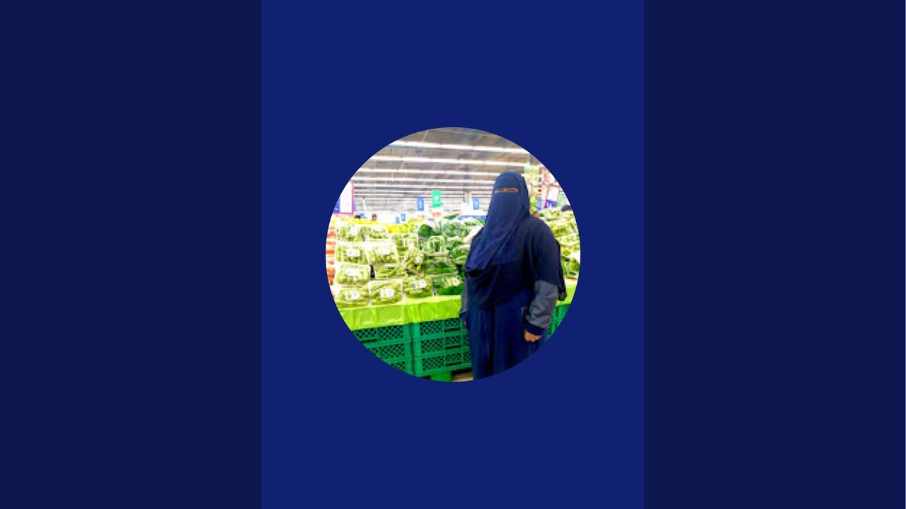 بدأت قناة 