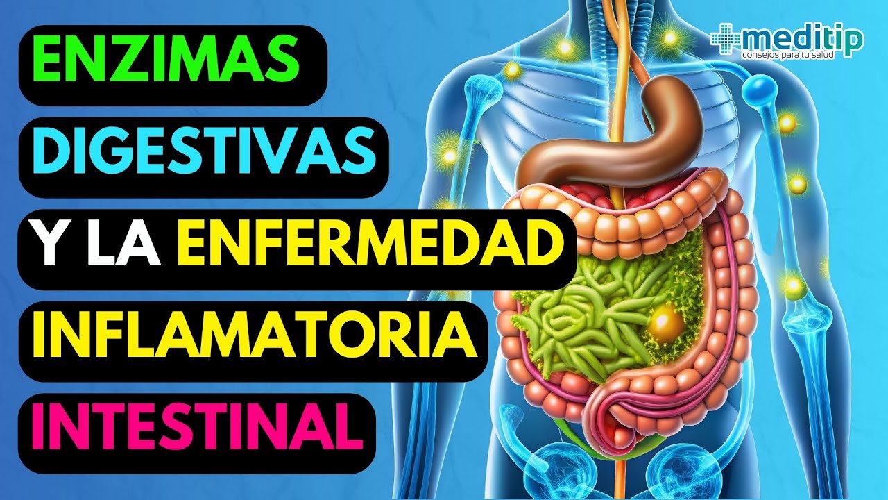 Deja de Ignorar la Inflamaci&oacute;n: Las Enzimas Digestivas son el Eslab&oacute;n Perdido