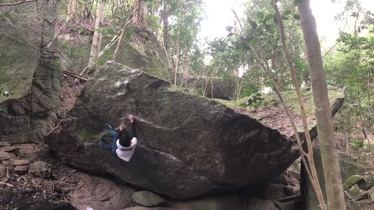豊田「the old」f/g