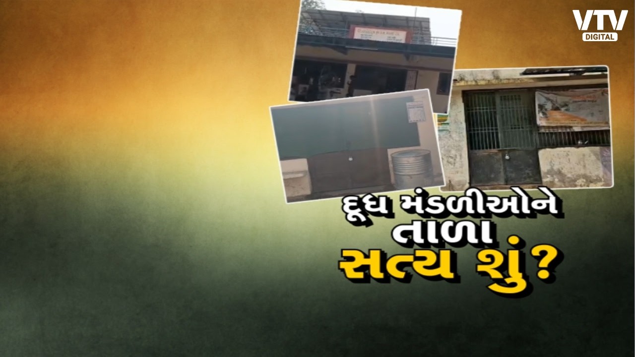 દૂધ મંડળીઓ પર નકલી દૂધ ભરતા હોવાના આક્ષેપ, VTVNEWSની ટીમનું રિયાલિટી ચેક