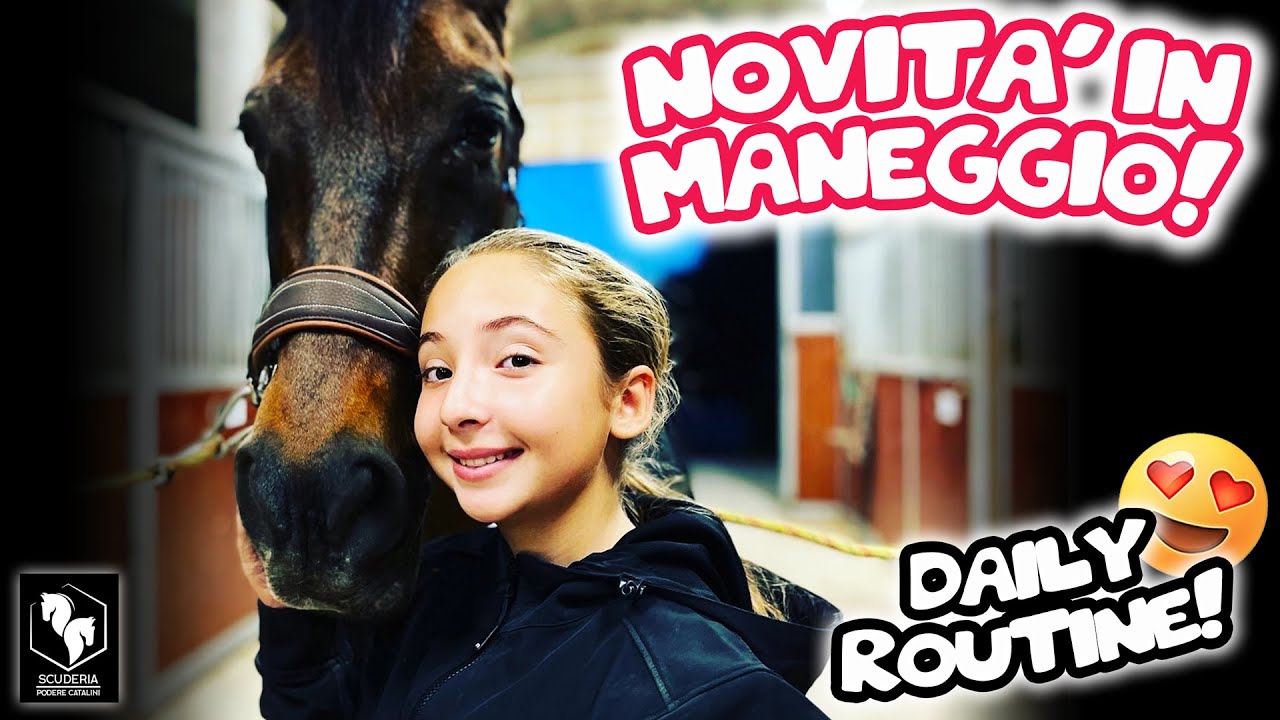 🔥 DAILY ROUTINE : NOVITÀ IN MANEGGIO! 🤩🤩🤩